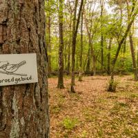 Blokhut 'de Hei' - terrein