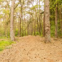 Blokhut 'de Hei' - terrein