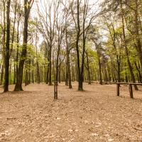 Blokhut 'de Hei' - terrein