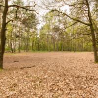 Blokhut 'de Hei' - terrein